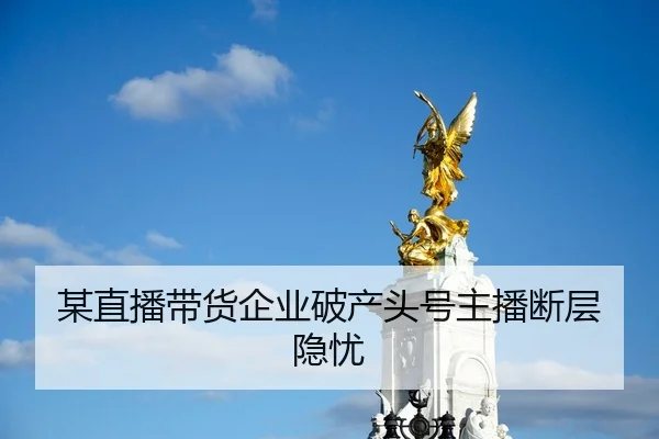 某直播带货企业破产头号主播断层隐忧